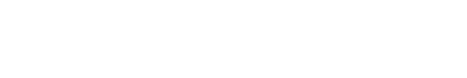 webvizion-logo